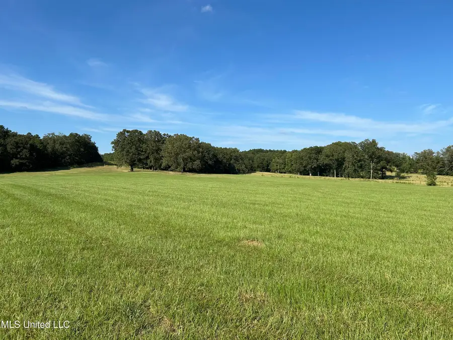 County Road 233, Water Valley, MS 38965 - Image #2