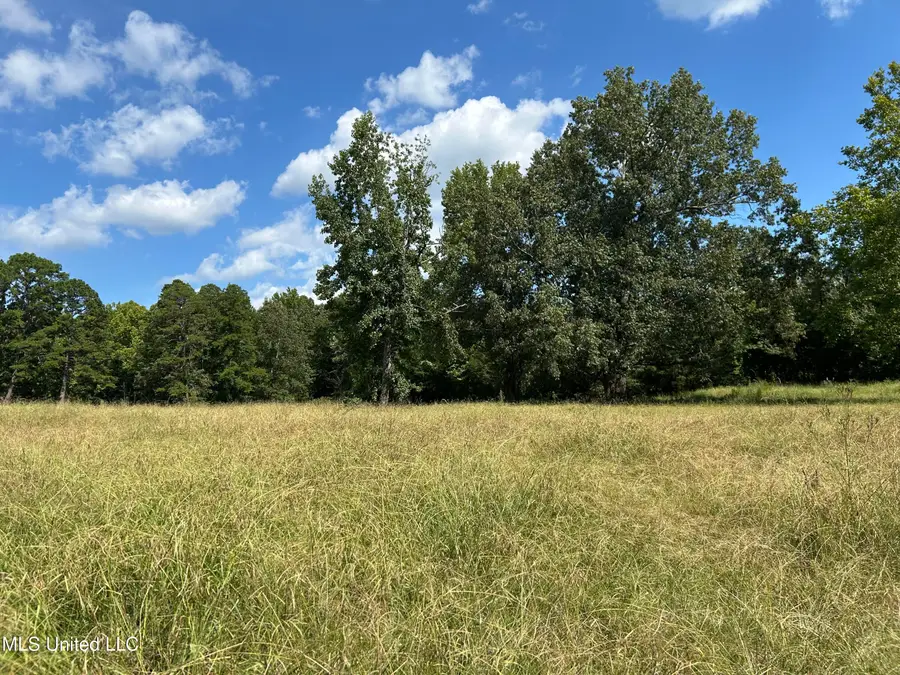 County Road 233, Water Valley, MS 38965 - Image #3