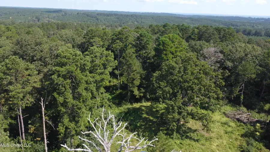 997 Morgantown Road, Foxworth, MS 39483 - Image #2