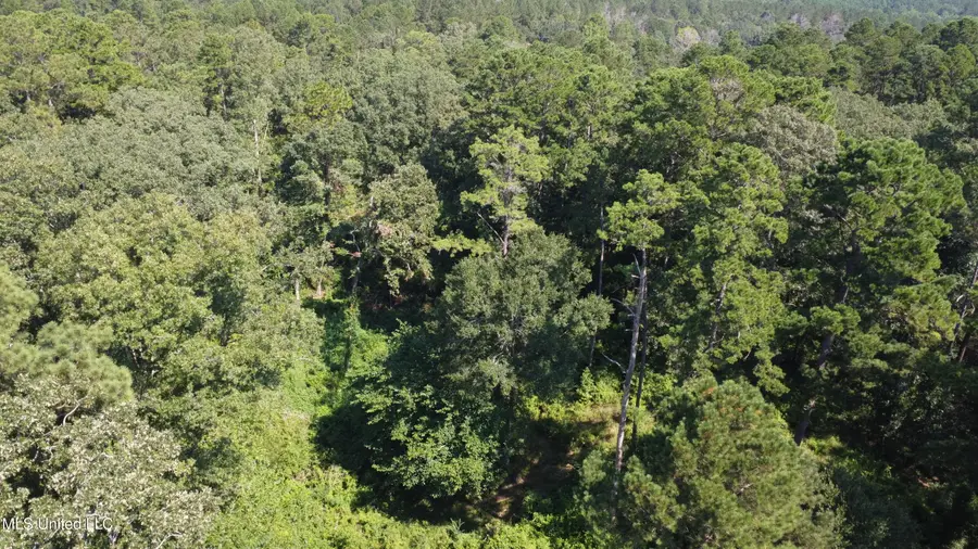 997 Morgantown Road, Foxworth, MS 39483 - Image #3