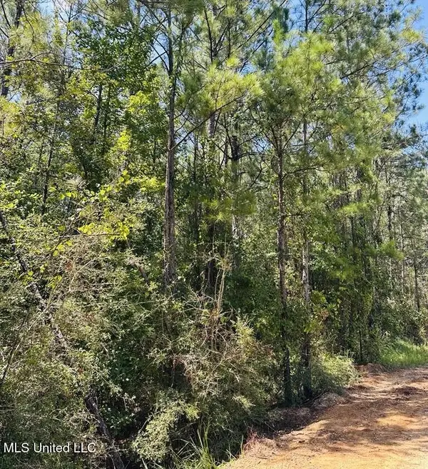 136 Acres Moody Road, Neely, MS 39461