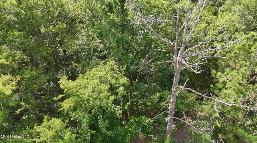 0 Chapel Hill Road, Utica, MS 39175 - Image #2