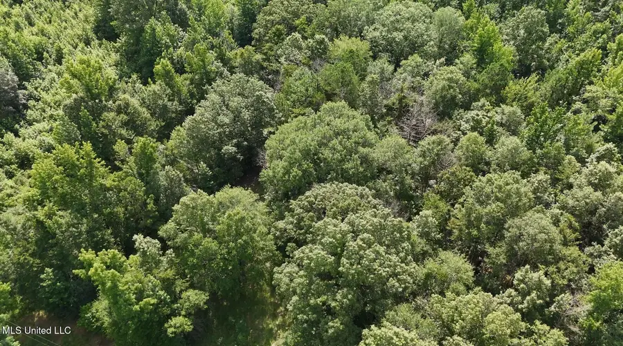 0 Chapel Hill Road, Utica, MS 39175 - Image #3