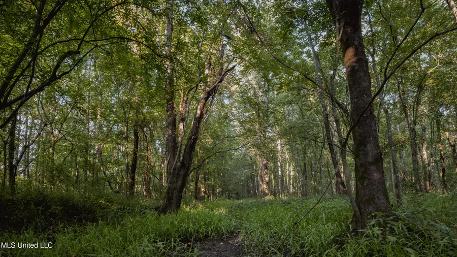 0000 Browning Rd, Greenwood, MS 38930 - Image #2