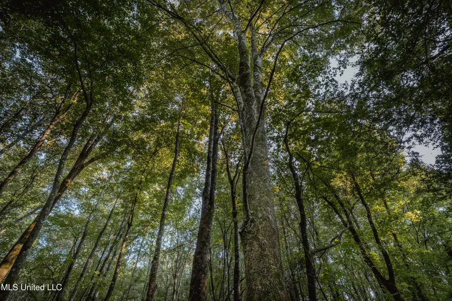 0000 Browning Rd, Greenwood, MS 38930 - Image #3