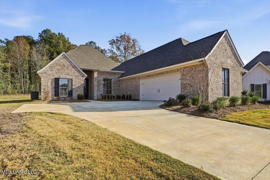 221 Jasmine Cove Circle, Brandon, MS 39042 - Image #2