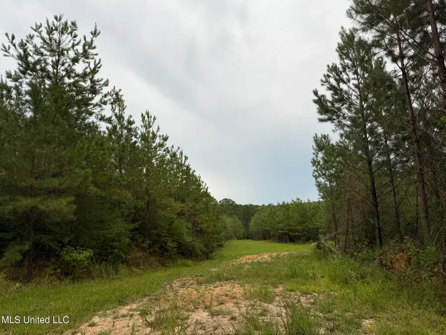 Airport Lane Road, Crosby, MS 39633 - Image #3