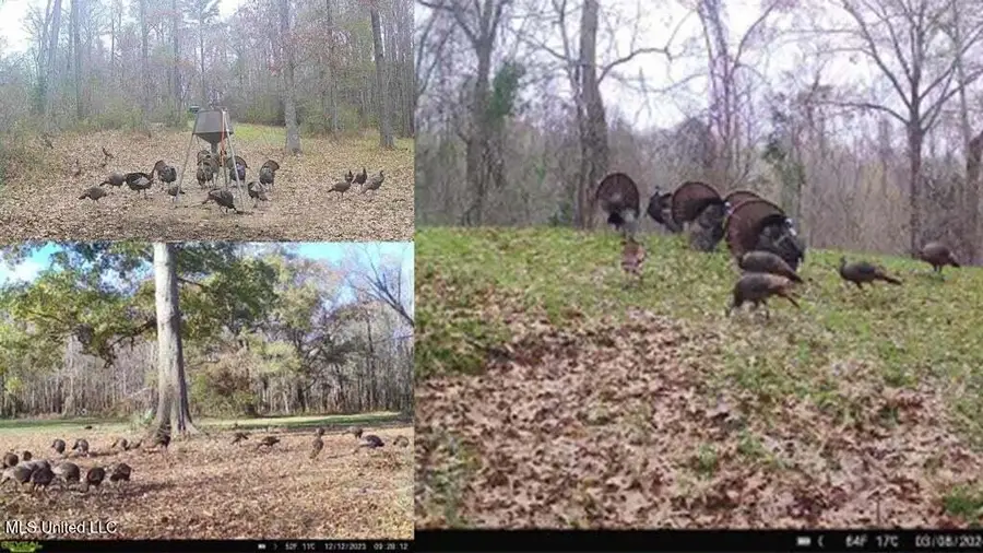 1 Rodney Bend Road, Lorman, MS 39096 - Image #3