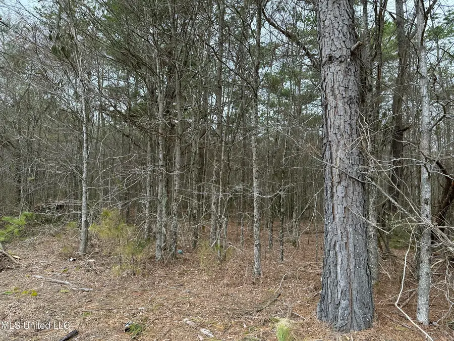 Old 4 Highway, Holly Springs, MS 38635 - Image #3