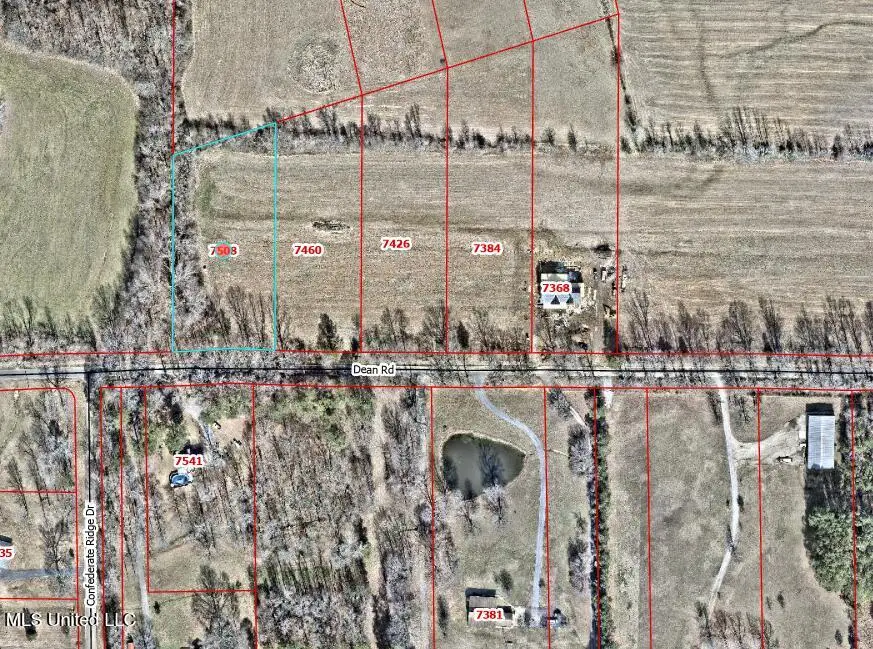 7508 Dean Road, Lake Cormorant, MS 38641 - Image #2