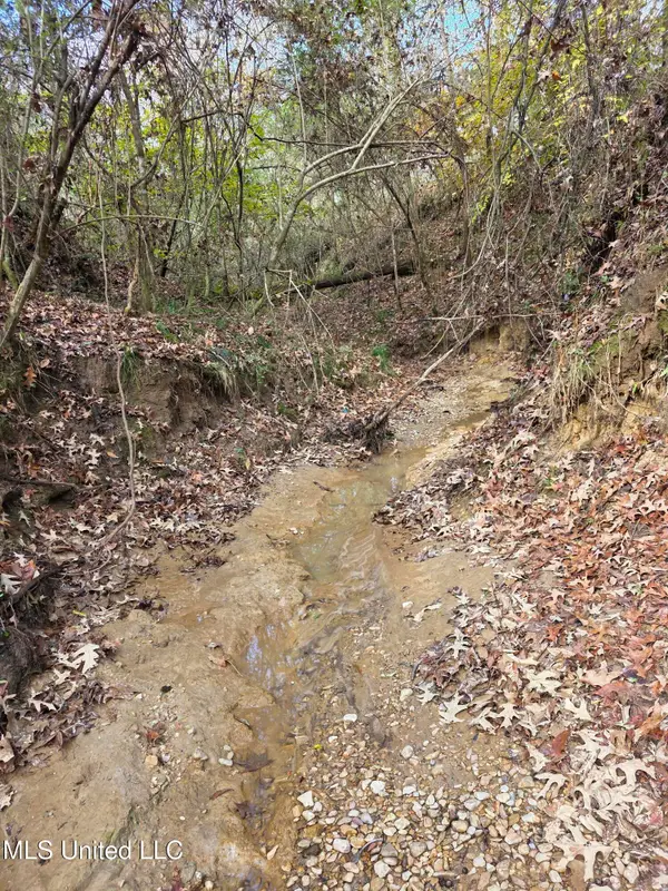 Tate Road, Natchez, MS 39120