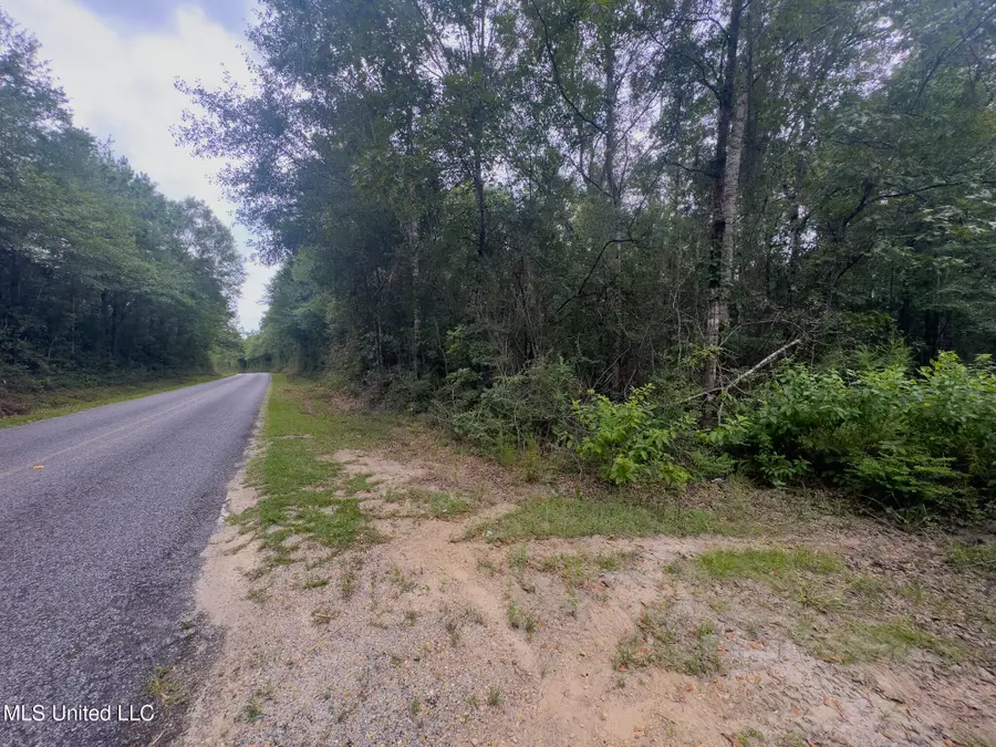 Silver Run-progress Road, Perkinston, MS 39573 - Image #3