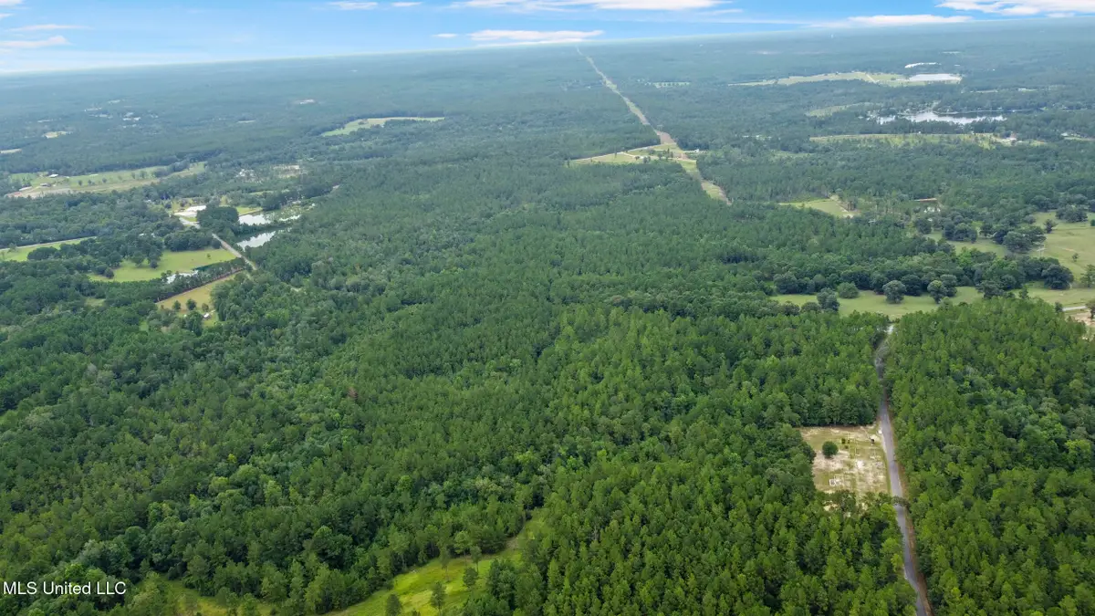 Silver Run-progress Road, Perkinston, MS 39573 - Image #1