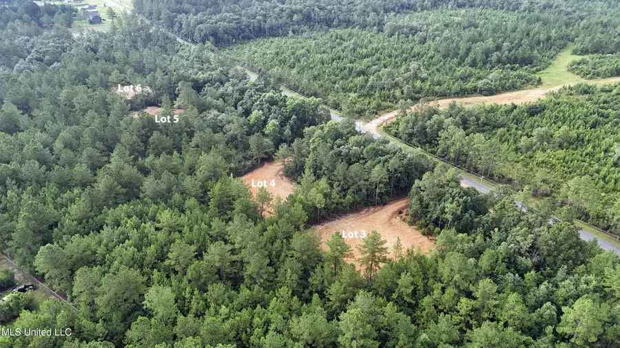 Lot 6 Wortham Road, Saucier, MS 39574 - Image #3