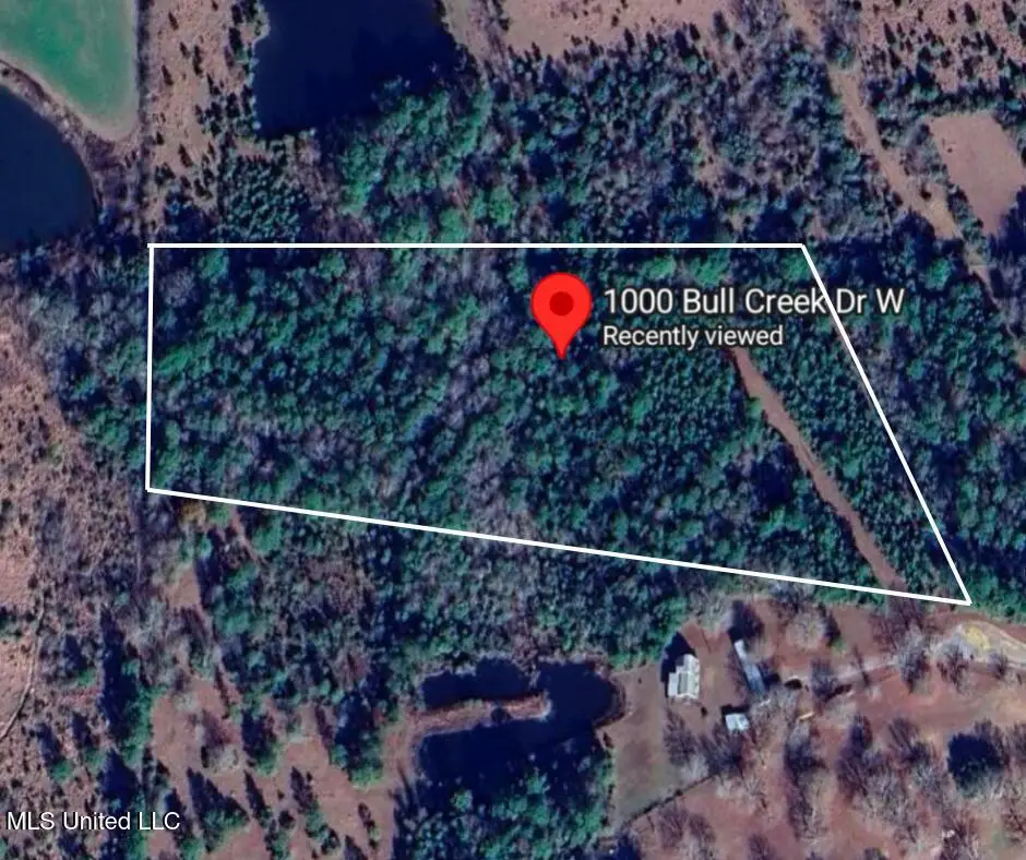 1000 W Bull Creek Drive, Perkinston, MS 39573 - Image #1