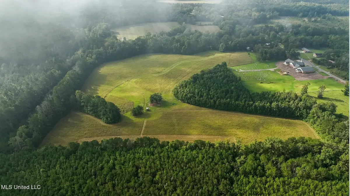 100 L Latham Road, Morton, MS 39117 - Image #1