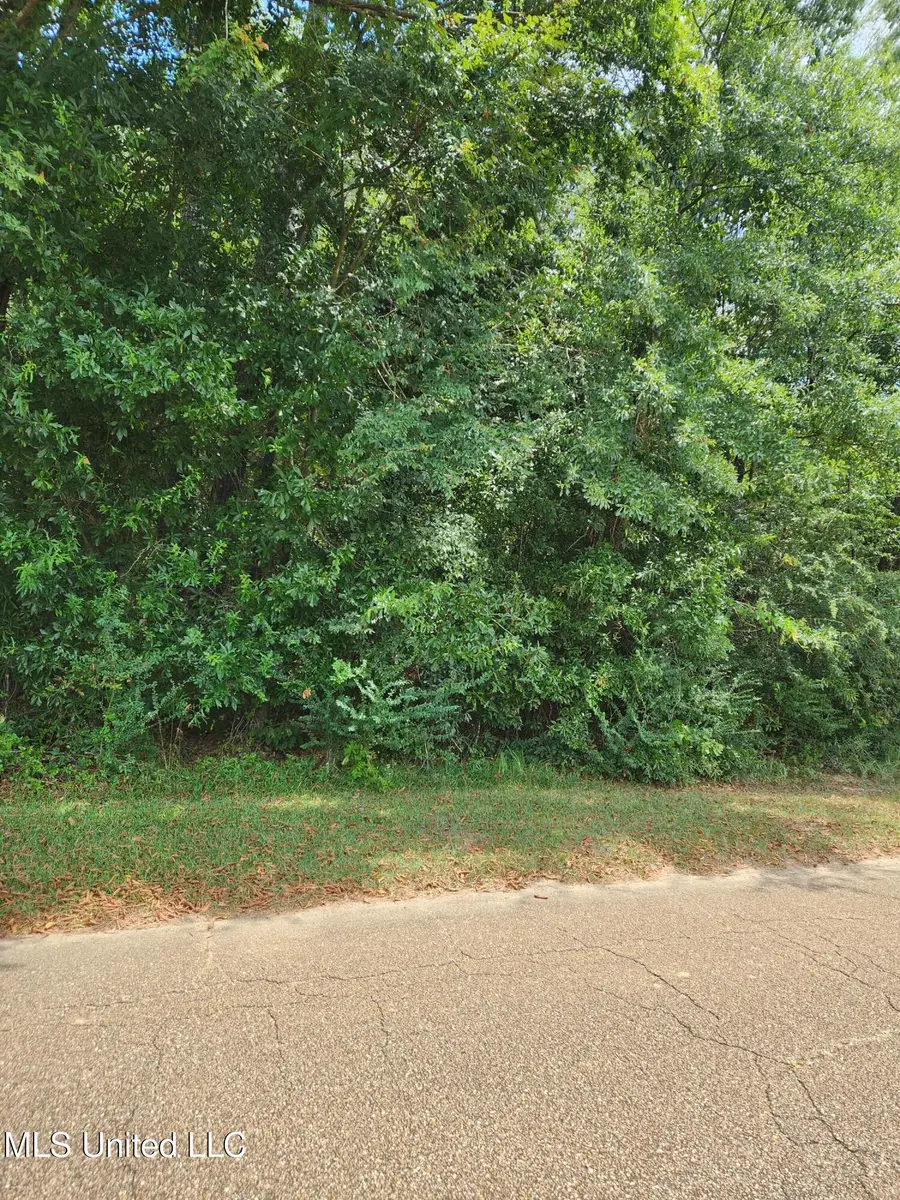 000 Old Byram Road, Jackson, MS 39212 - Image #3