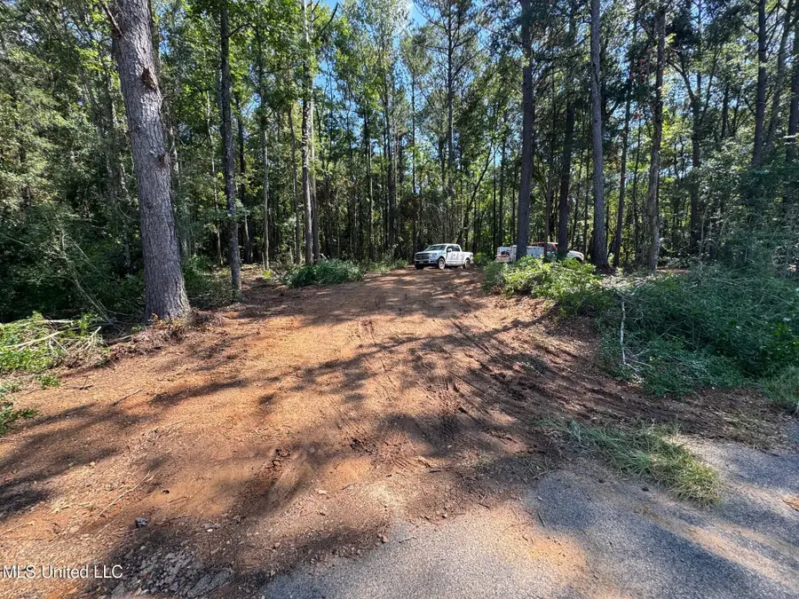 Xxx W A Walker Road, McComb, MS 39648 - Image #2