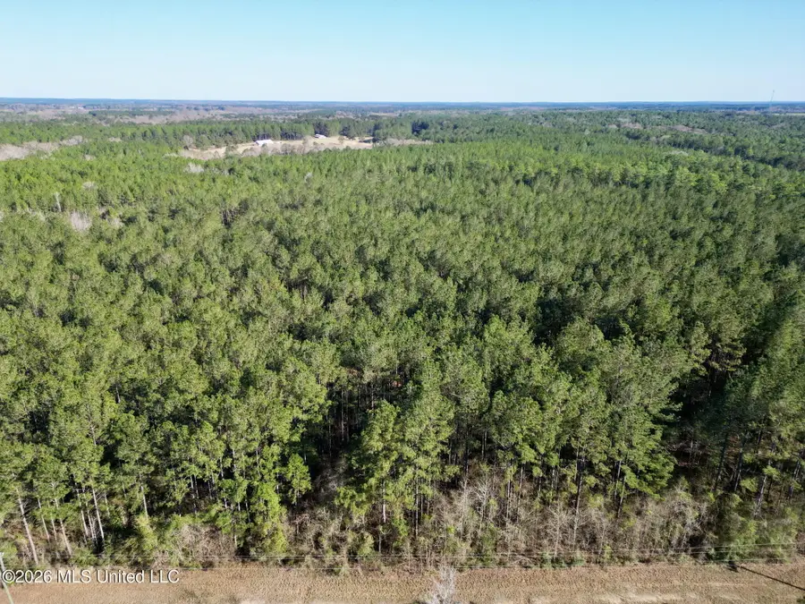 N Mississippi 43, Poplarville, MS 39470 - #2