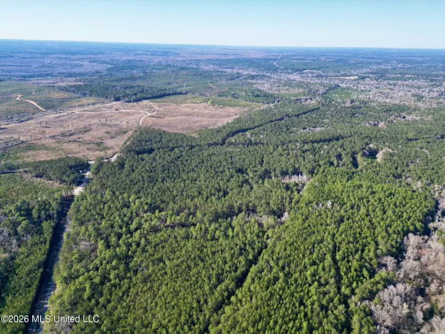 N Mississippi 43, Poplarville, MS 39470 - #3