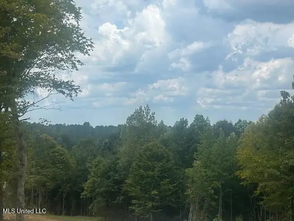 0 Cr 244, Ripley, MS 38663