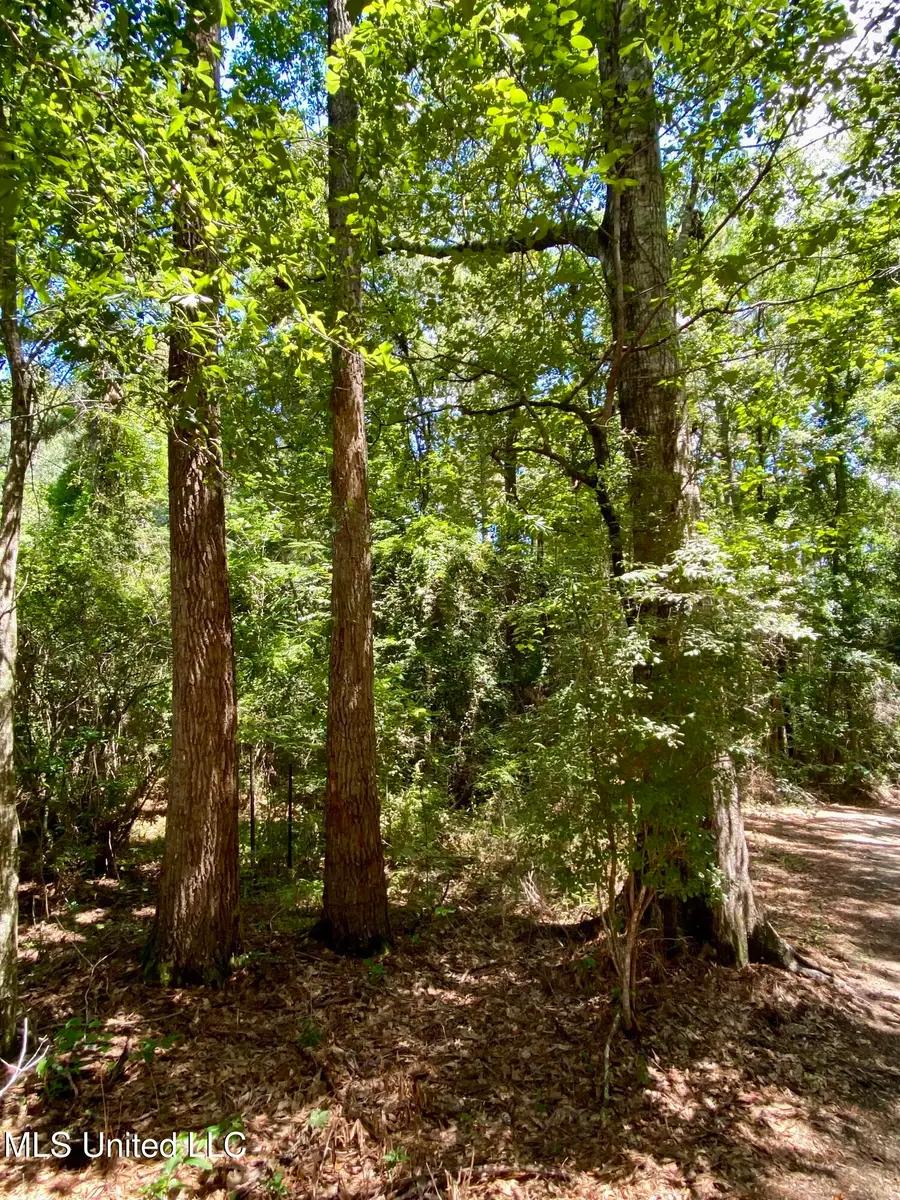 Will Thompson Road, Picayune, MS 39466 - Image #2