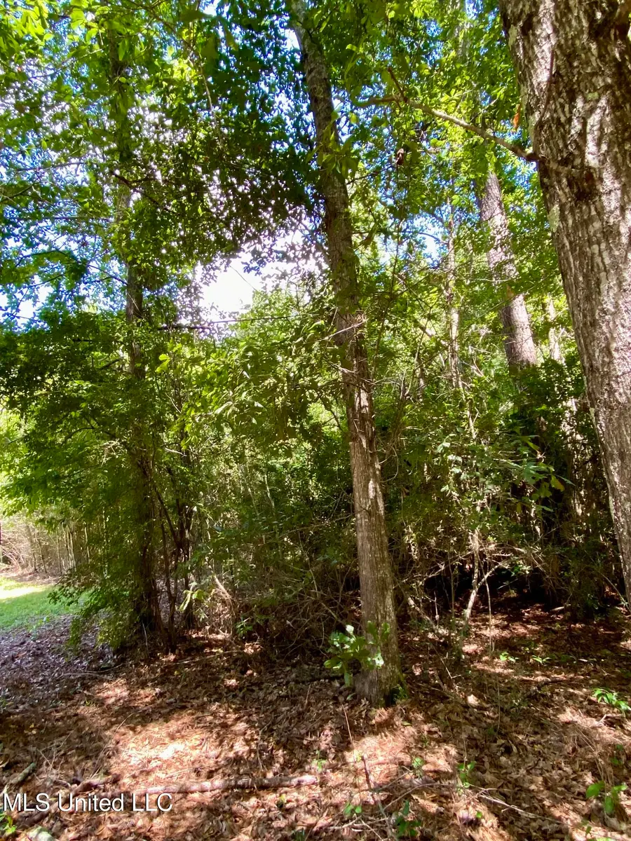 Will Thompson Road, Picayune, MS 39466 - Image #3