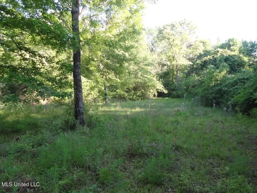 0000 Maurice Road, Magnolia, MS 39652 - Image #3
