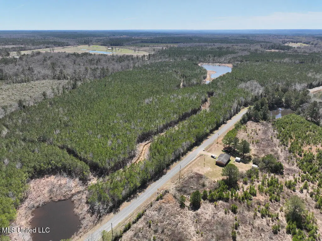 7 E Of Quit-desoto Road, Shubuta, MS 39360 - Image #1