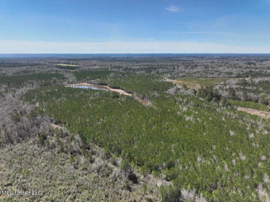 7 E Of Quit-desoto Road, Shubuta, MS 39360 - Image #3