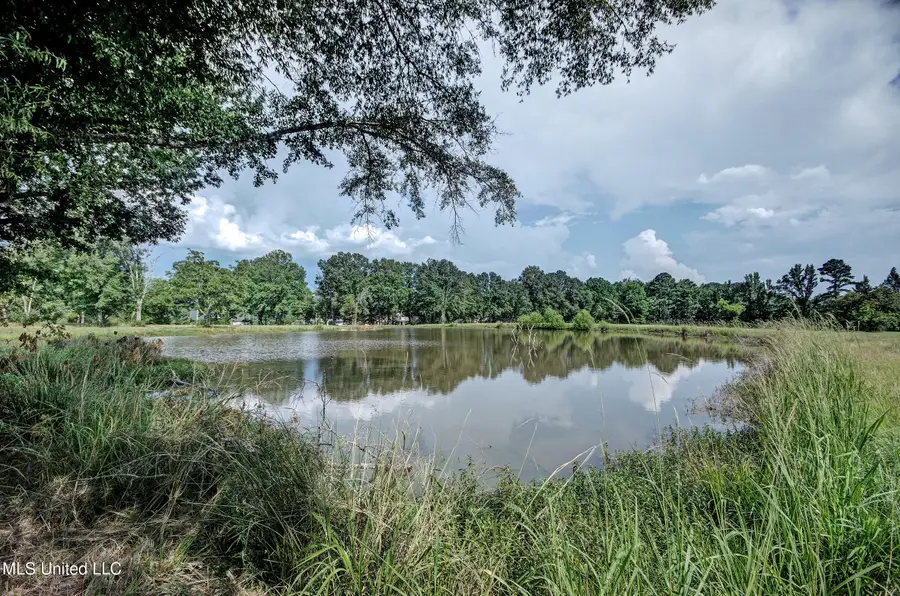 1229 Holly Bush Road, Brandon, MS 39047 - Image #3