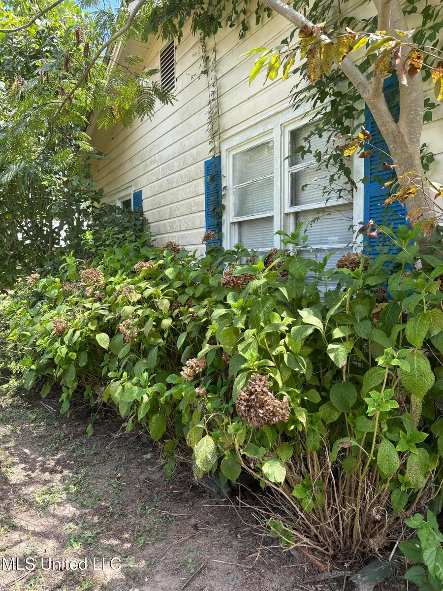 11 Rainbow Street, Natchez, MS 39120 - Image #2