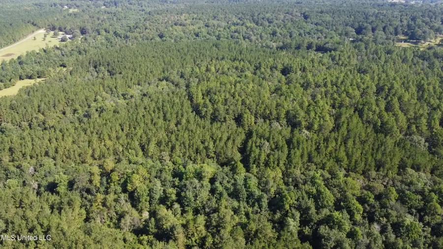 Ben Byrd Road, Lumberton, MS 39455 - Image #3