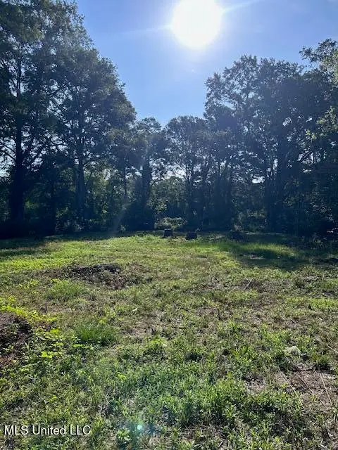 4528 Hanging Moss Road, Jackson, MS 39206 - Image #2