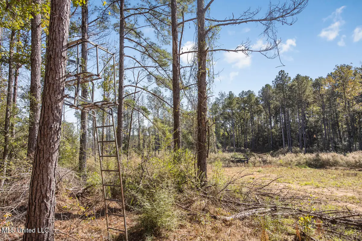 0000 Ms- 33, Centreville, MS 39631 - Image #1