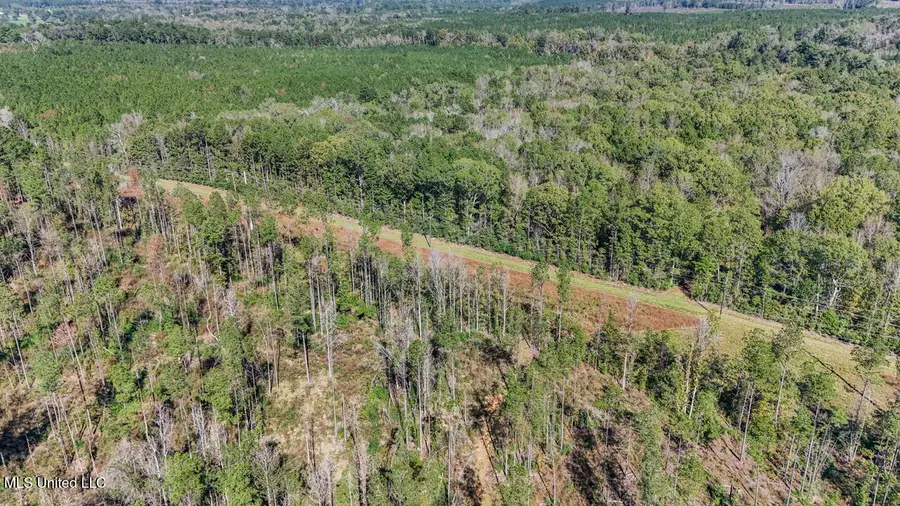 0000 Ms- 33, Centreville, MS 39631 - Image #2