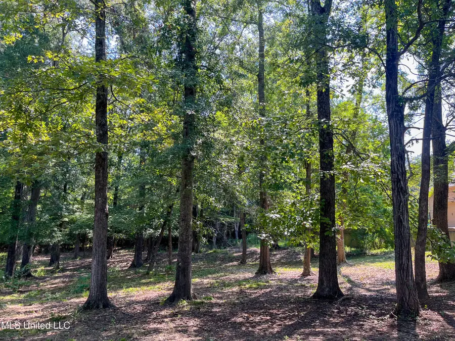 Cottesbrooke Circle, Madison, MS 39110 - Image #2