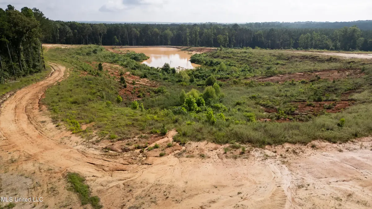Wire Road, Pelahatchie, MS 39145 - Image #1