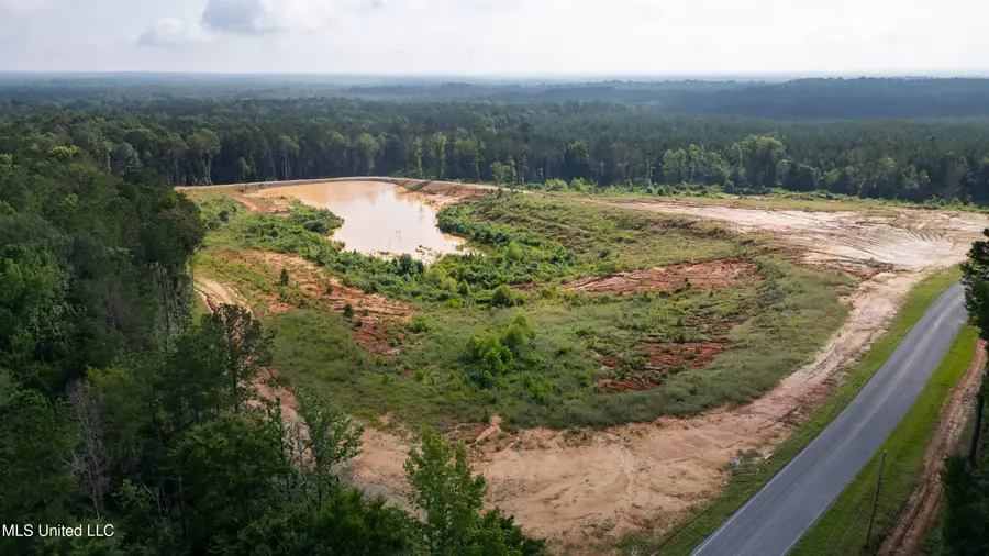 Wire Road, Pelahatchie, MS 39145 - Image #3