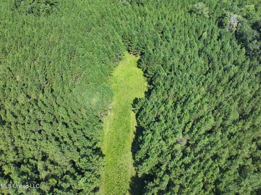 0 Buddy Finch Road, Lucedale, MS 39452 - Image #2