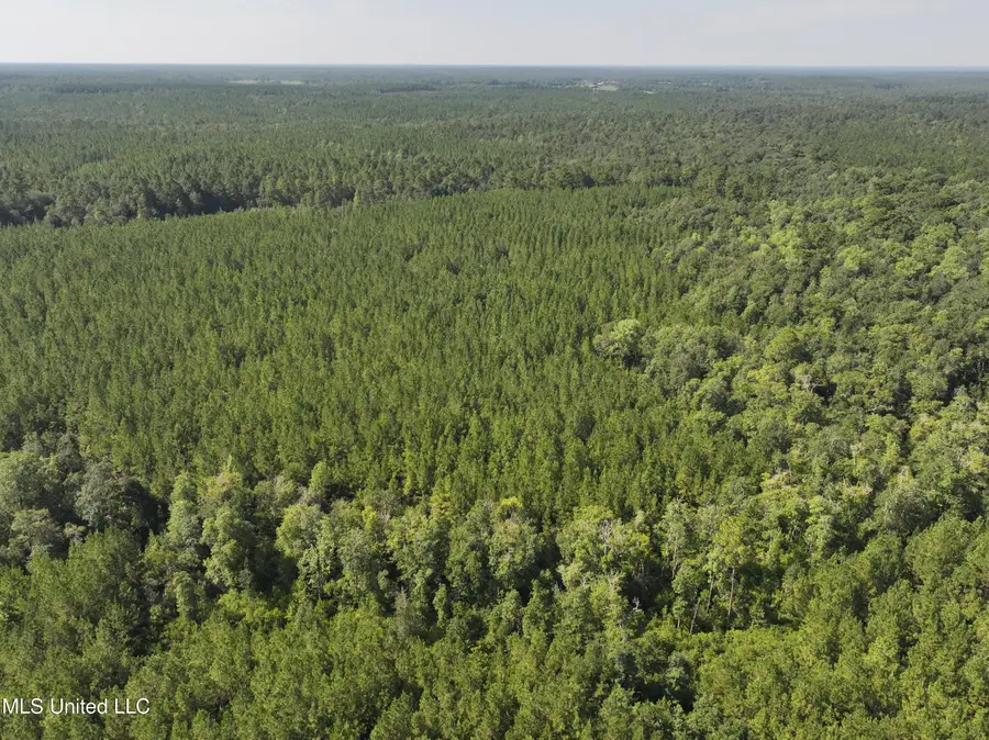 0 Buddy Finch Road, Lucedale, MS 39452 - Image #3