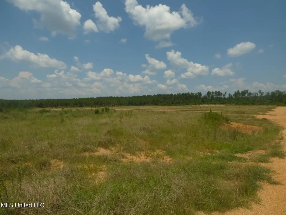 161 Old Holmesville Road, Tylertown, MS 39667 - Image #1