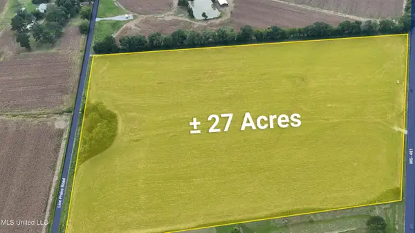 Line Prairie Road, Morton, MS 39117