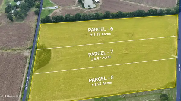 Line Prairie Road, Morton, MS 39117