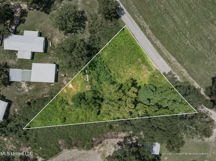 County Road 299, Louin, MS 39338 - Image #2