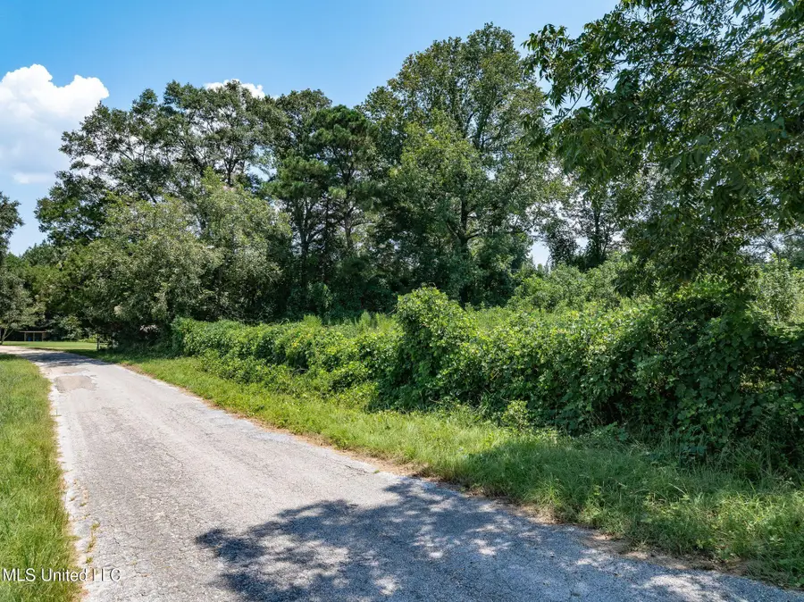 County Road 299, Louin, MS 39338 - Image #3