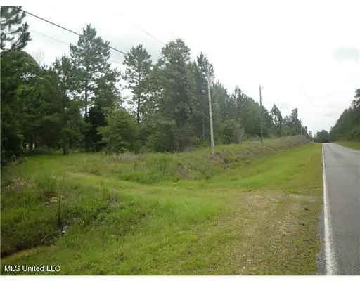549 Barth Road, Poplarville, MS 39470 - Image #2
