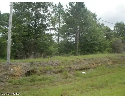 549 Barth Road, Poplarville, MS 39470 - Image #3