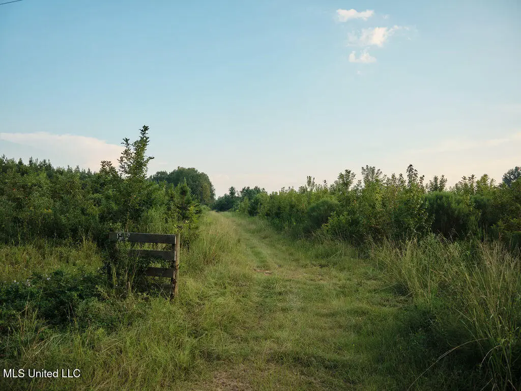 911 Smith Co Rd 563, Pulaski, MS 39152 - #1