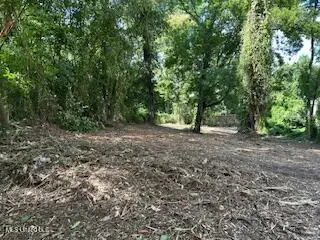 0 Gillespie Street, Jackson, MS 39202